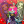 ninoro123