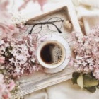 Mrs.Gillyflower