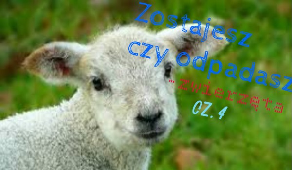 Zostajesz czy odpadasz- zwierzęta cz. 4