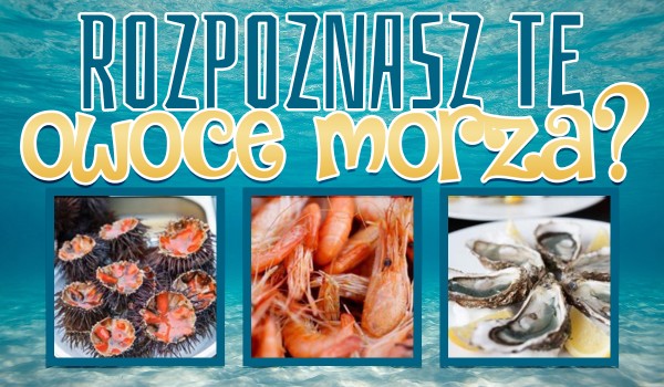 Rozpoznasz te owoce morza? Sprawdź!
