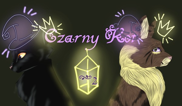 ,,Czarny kot” {Nowa Historia} GLS? #2