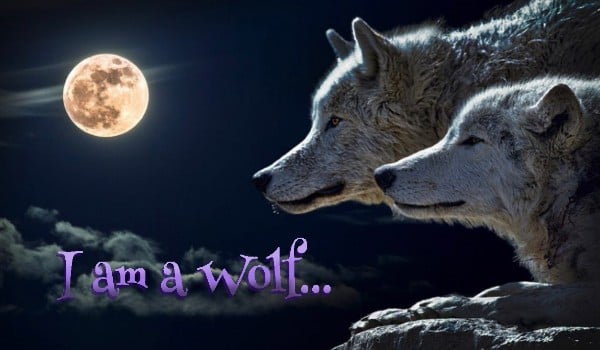I Am a Wolf #9