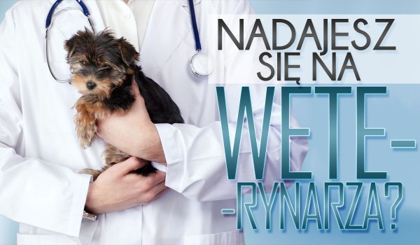 Sprawdzimy, czy nadajesz się na weterynarza!