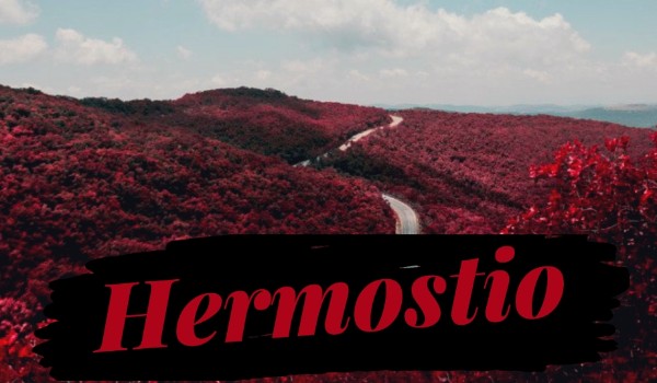 Hermostio • Graphic Shop