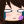 67Blue_Cat67