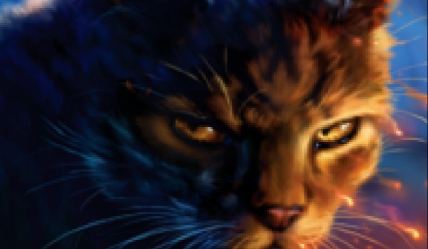 Jak dobrze znasz Tygrysią Gwiazdę?