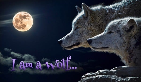 I Am a Wolf #3
