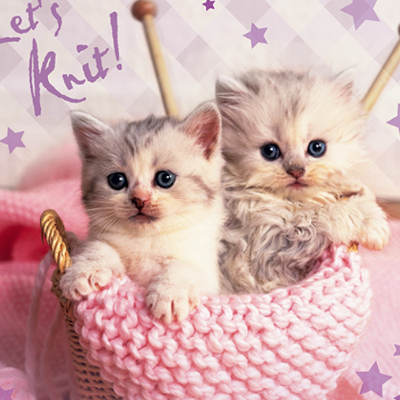 Pinkcat