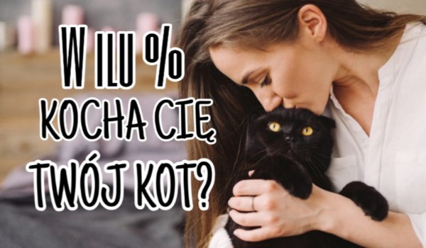 W ilu % kocha Cię Twój kot?