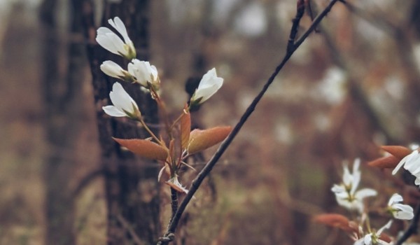 30 day Percy Jackson chellenge – #10 & #11 & #12