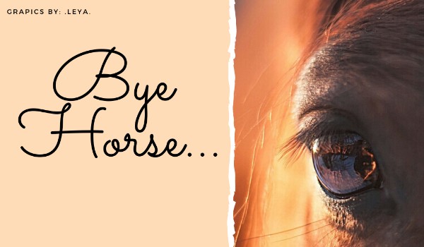 Bye Horse… | One Shot