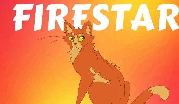 Konkurs na 100 obserwacji- wyniki