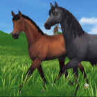 emilusia_kasiuniusia_