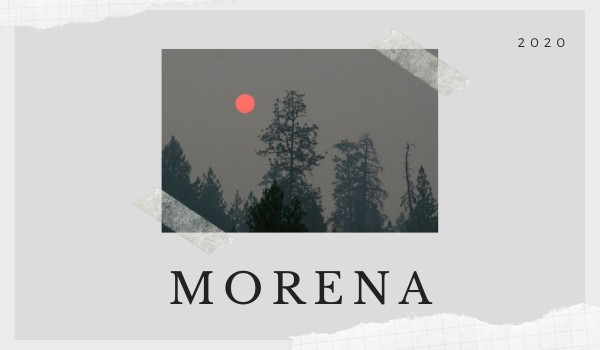 morena
