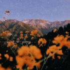 Oliwion_