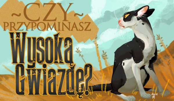 Czy przypominasz Wysoką Gwiazdę?