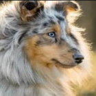 Rozancowa.RolePlay.WPISY