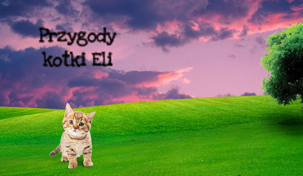 Przygody kotki Eli Cz.2