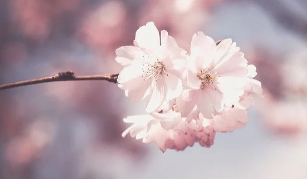 piosenka~break the rules~9