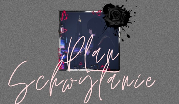 Plan „schwytanie”