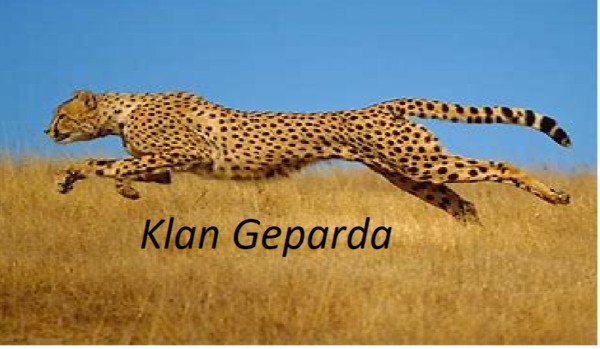 Klan Geparda – rozdział 1 (opowiadanie z obs.)