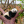 Panda10