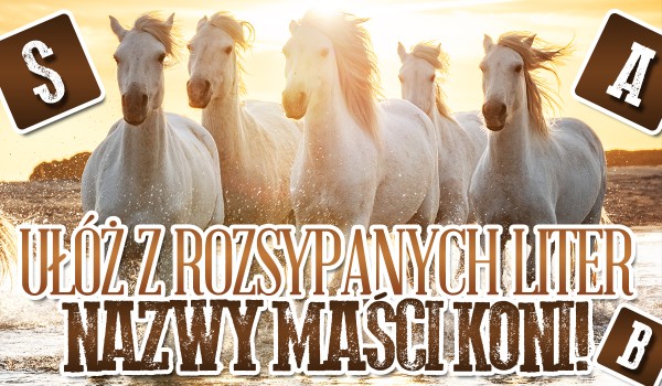 Ułóż z rozsypanych liter nazwy maści koni!