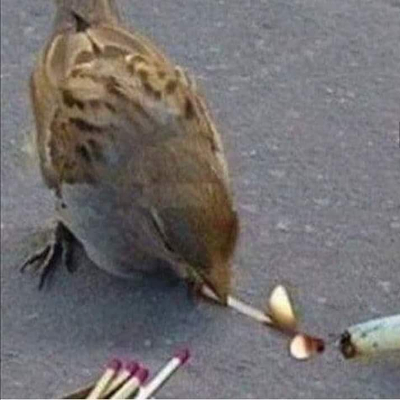 tomekto
