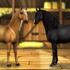 star_stable_forever_