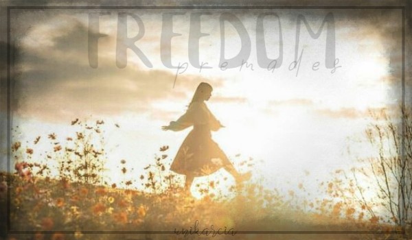 FREEDOM ; premades ; 004 ; wystrój ; all