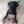 KcDog