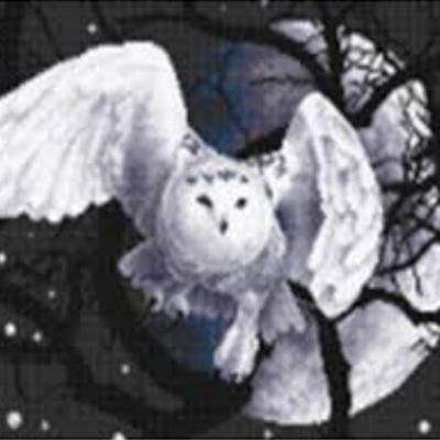 Karui-HANE