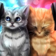 naticatty