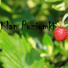 Klan__Poziomki