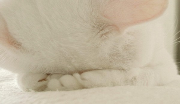 Twoja przygoda z Underswap! #5