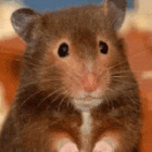 Martyneczka123maja.pl