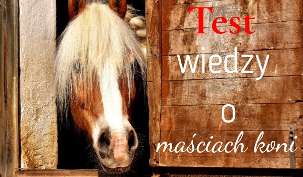 Test wiedzy o maściach koni