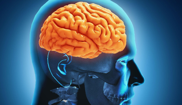 Ja vs mój mózg!!! Wojna część 12.