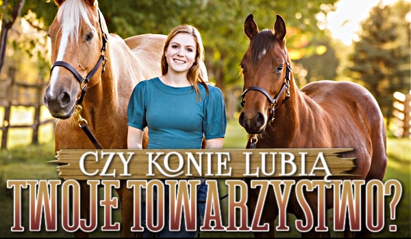 Czy konie lubią Twoje towarzystwo?