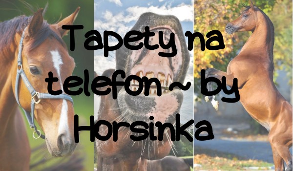Tapety na telefon ~ by Horsinka