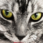 I_am_pretty.