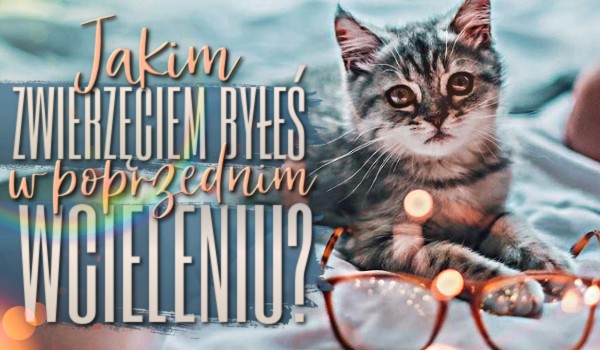 Jakim zwierzęciem byłeś w poprzednim wcieleniu? Sprawdź!
