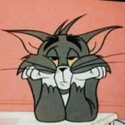 Sylvester