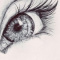 Lostinthewild