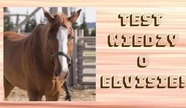 Test wiedzy o Elvisie!