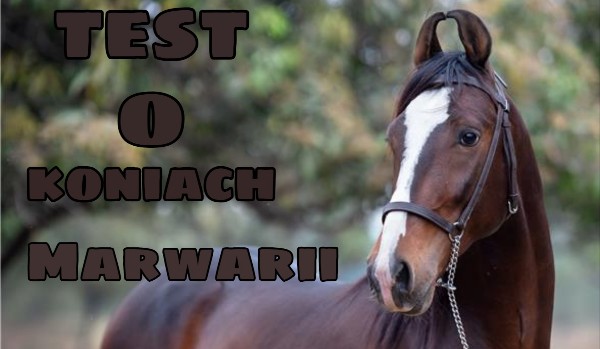 Test o koniach Marwarii