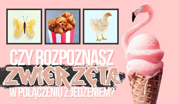 Czy rozpoznasz zwierzęta w połączeniu z jedzeniem?