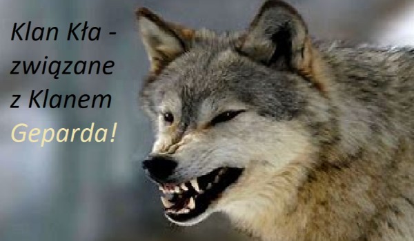 Klan Geparda – samotnicy – zapisy