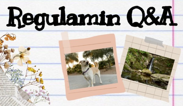 REGULAMIN Q&A |Zadawajcie pytania |