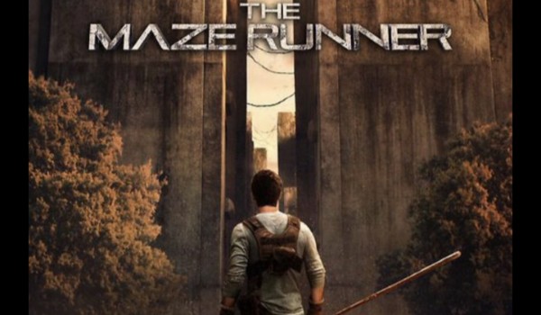 Maze Runner – Historia #2
